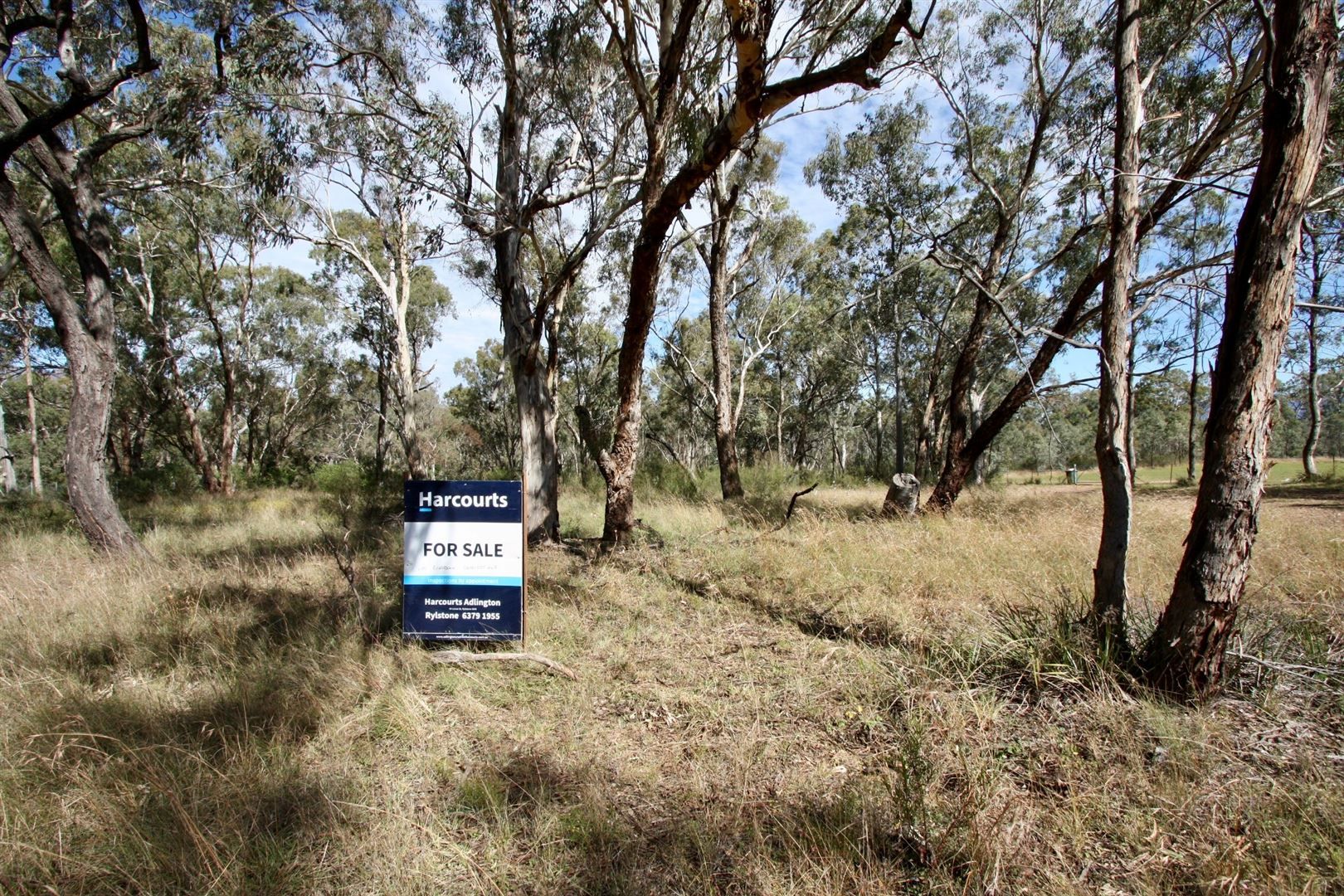 Lot 41 DP 755796 Rylstone St, Glen Alice, Rylstone NSW 2849, Image 1