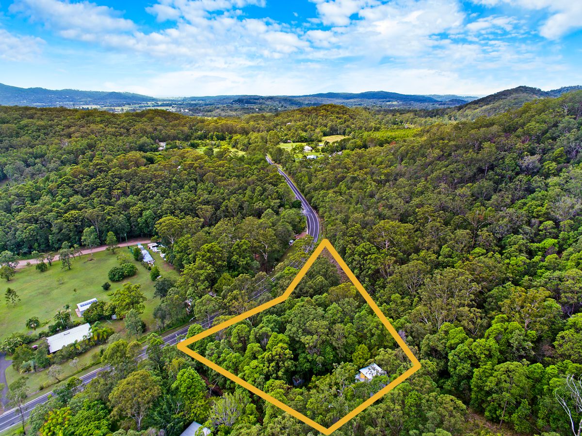 196 Wappa Falls Road, Yandina QLD 4561, Image 1