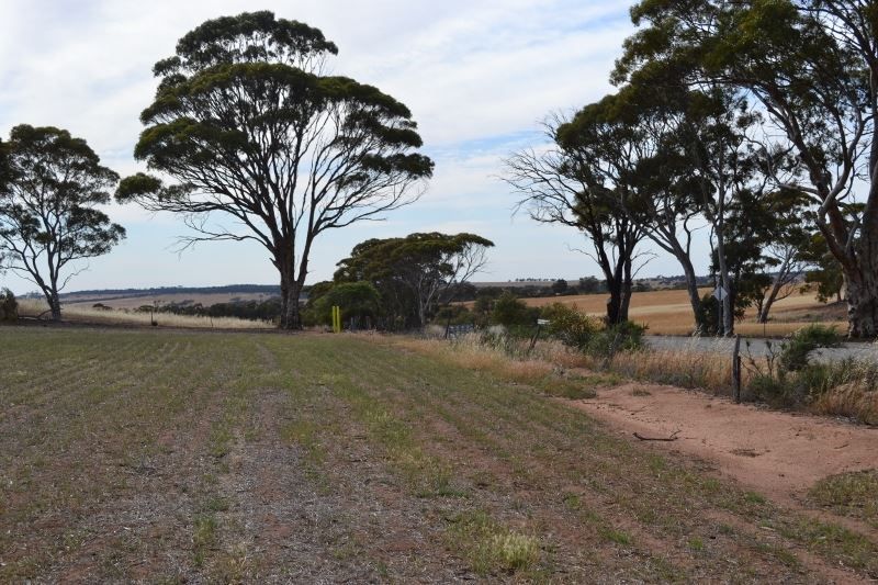 . The Ridge, Cunderdin WA 6407, Image 2