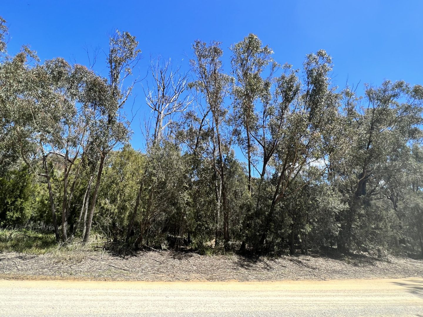 PID 7731463 Basin Creek Road, St Helens TAS 7216, Image 2