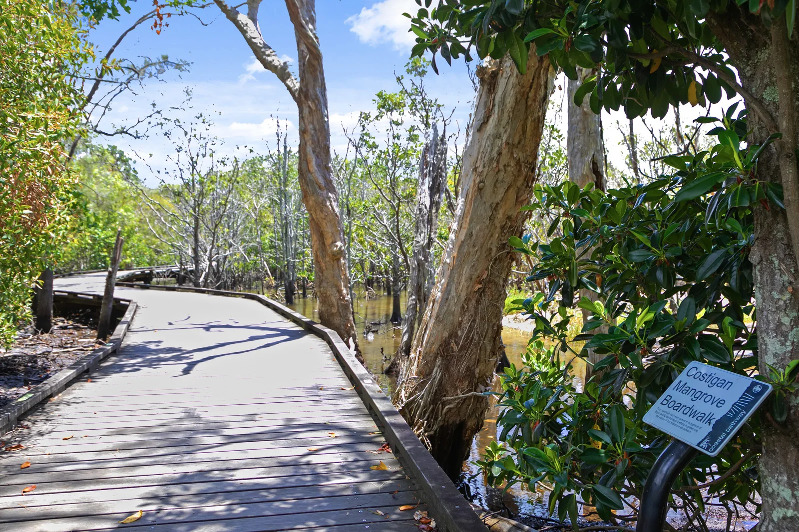 Additional image 20 of 25 Onslow St, Golden Beach QLD 4551