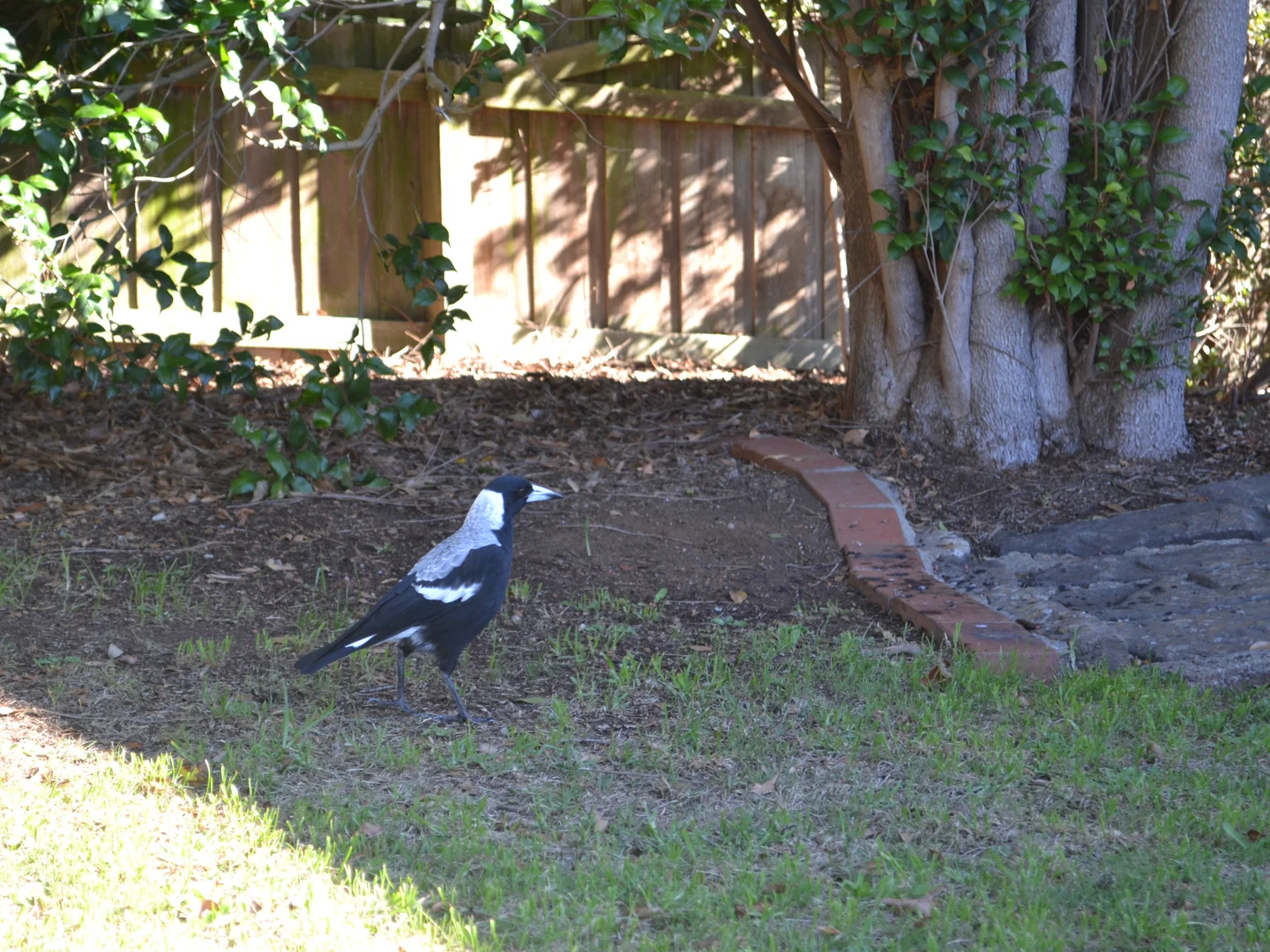 Additional image 30 of 28 Pettit Street, Warragul VIC 3820