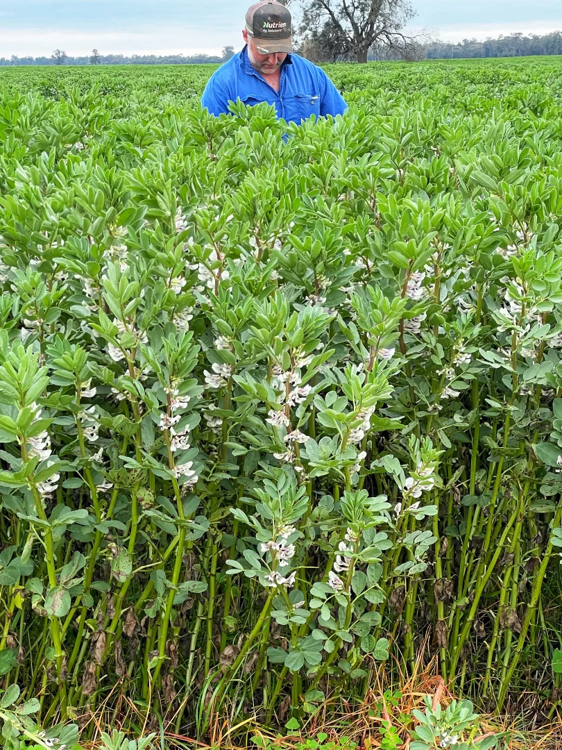 Additional image 7 of Rosewood Aggregation 7033 The Gipps Way, Condobolin NSW 2877