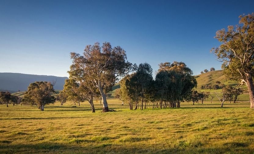 Lot 1/2412 Murray Valley Highway, Cudgewa VIC 3705, Image 0