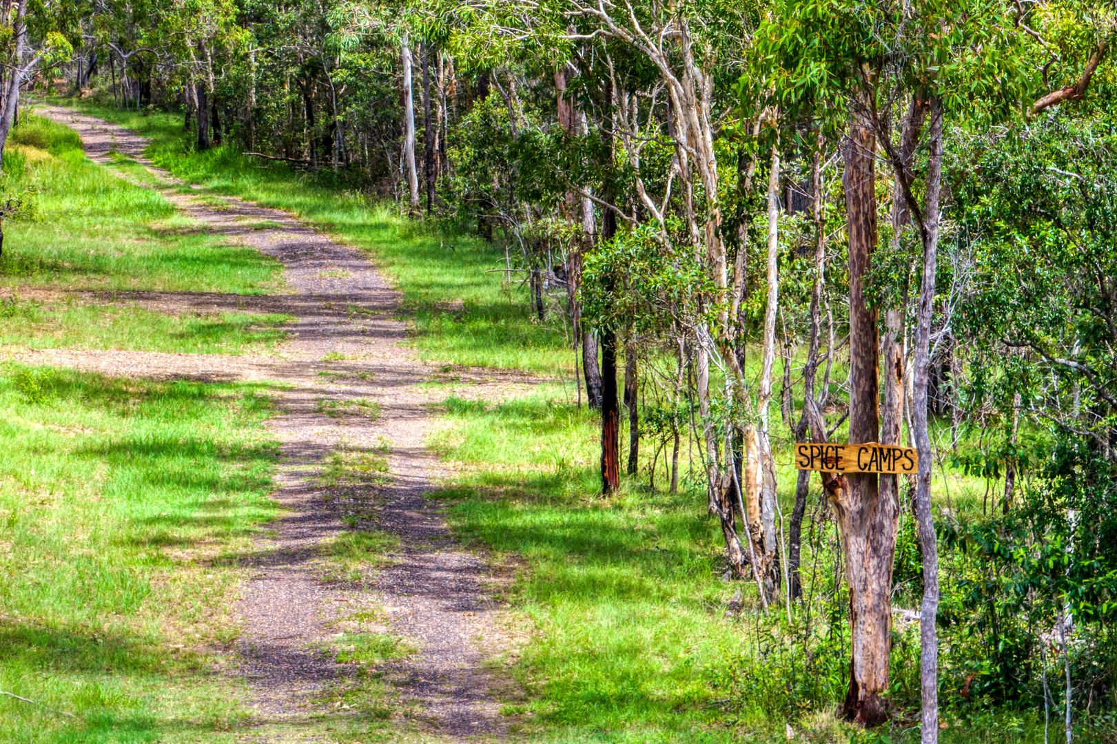 13 Prawle Street, Howard QLD 4659 Vacant Land for Sale Domain