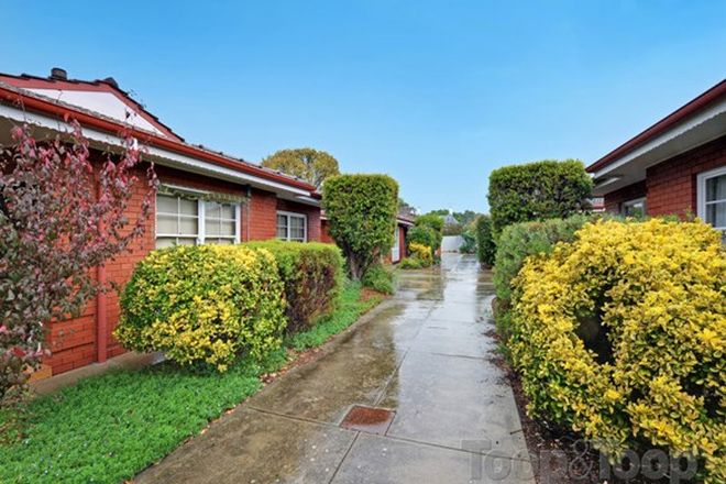 Picture of 4/69 Clifton Street, MALVERN SA 5061