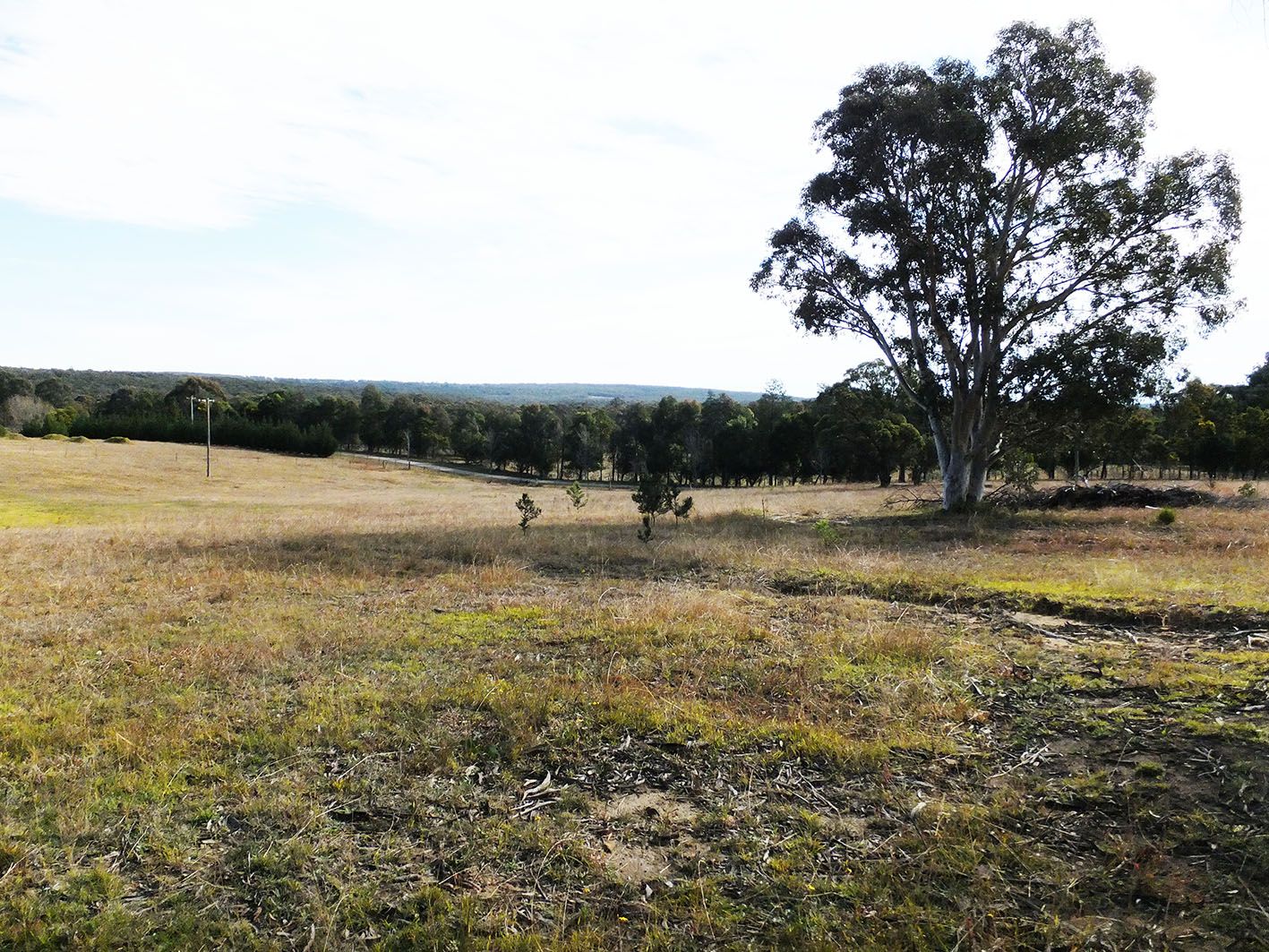 878 Old Hume Highway, Alpine NSW 2575, Image 1