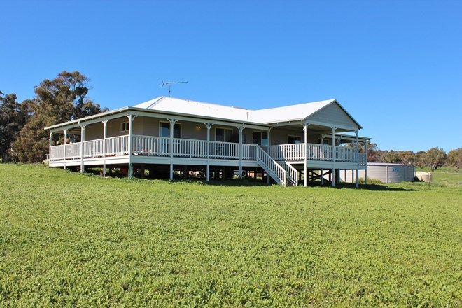 300 Real Estate Properties For Sale In Inkpen Wa 6302 Domain