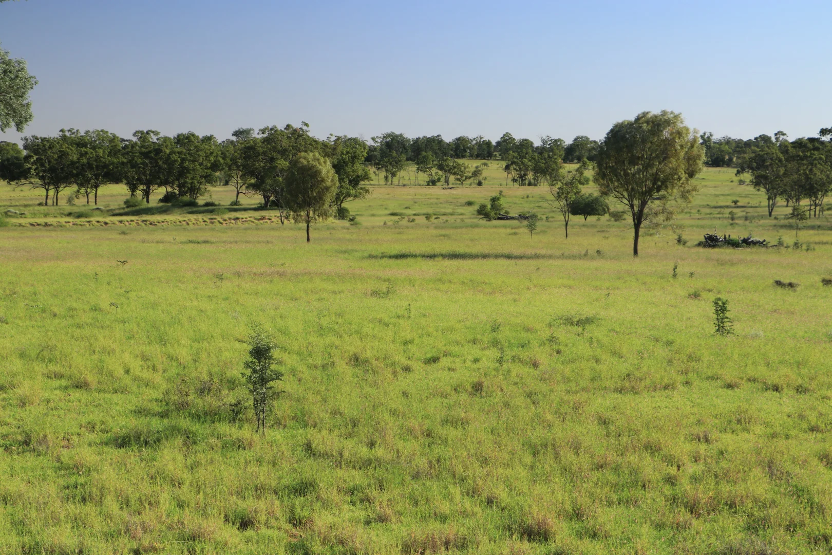 Additional image 23 of Roma QLD 4455