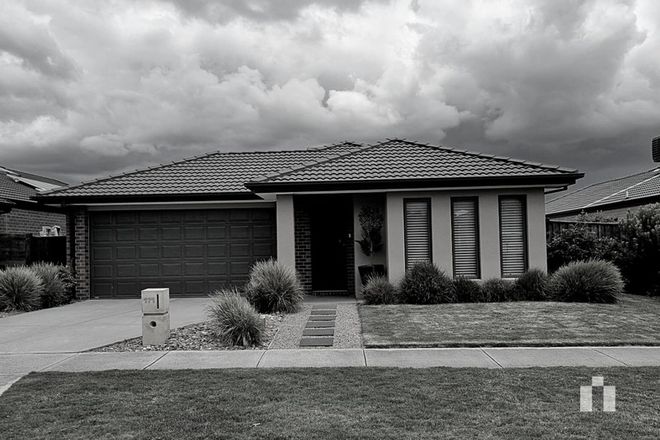 Picture of 171 Mandalay Circuit, BEVERIDGE VIC 3753