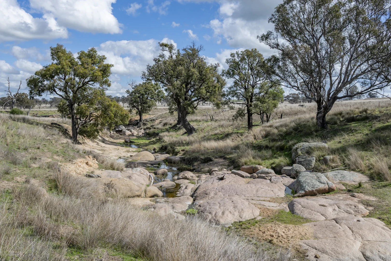 Image 23
