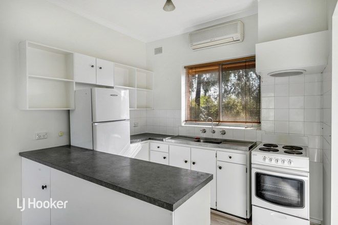 1866 Rental Properties In Adelaide Sa Domain