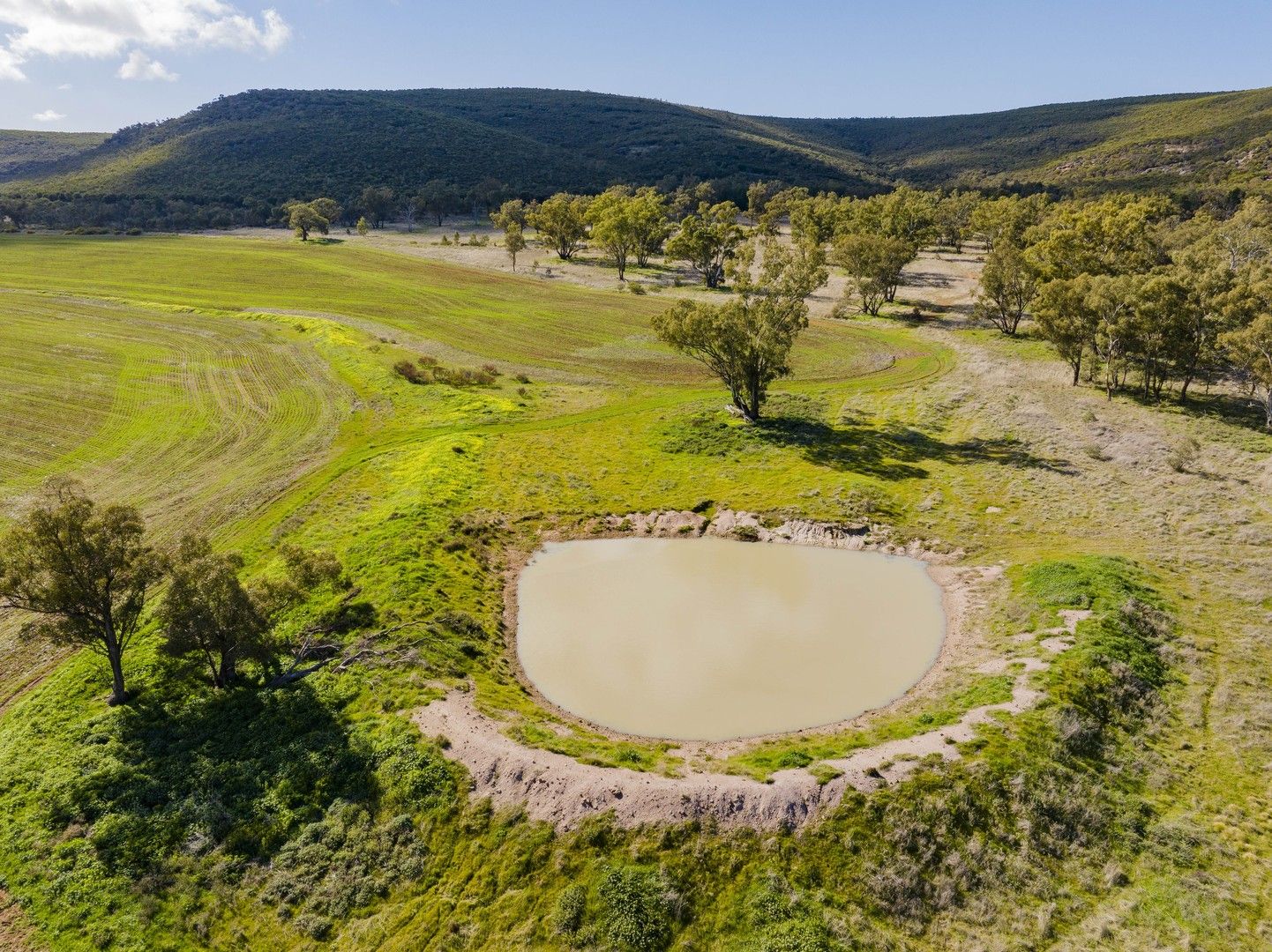 Barellan Road, Colinroobie NSW 2700, Image 0