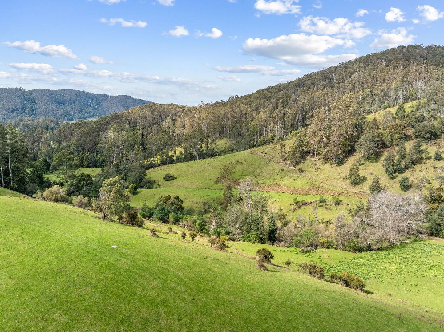 Lot 1 Forest Lodge Road, Pyengana TAS 7216, Image 0