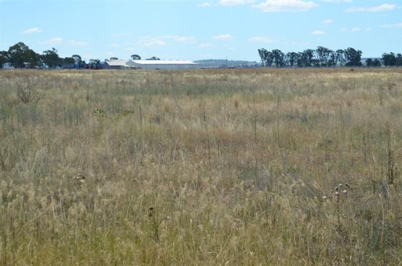 Lot 4 Orrs Road, OAKEY QLD 4401, Image 2