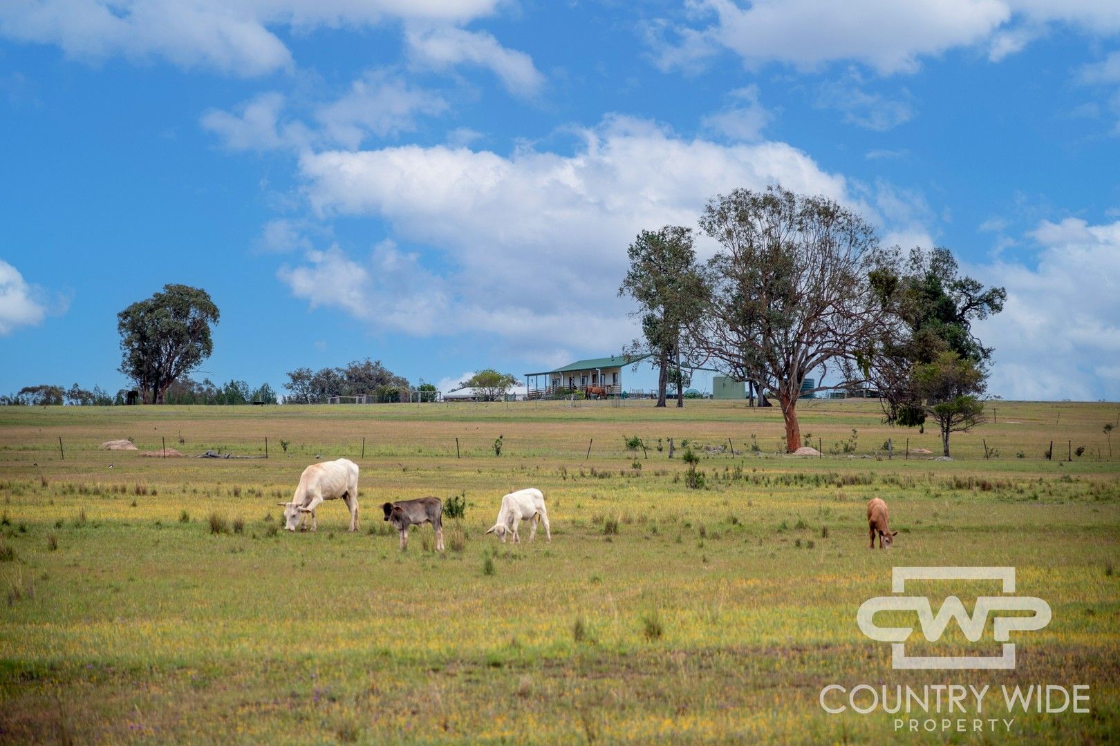 1461 Atholwood Road, Bonshaw NSW 2361, Image 0