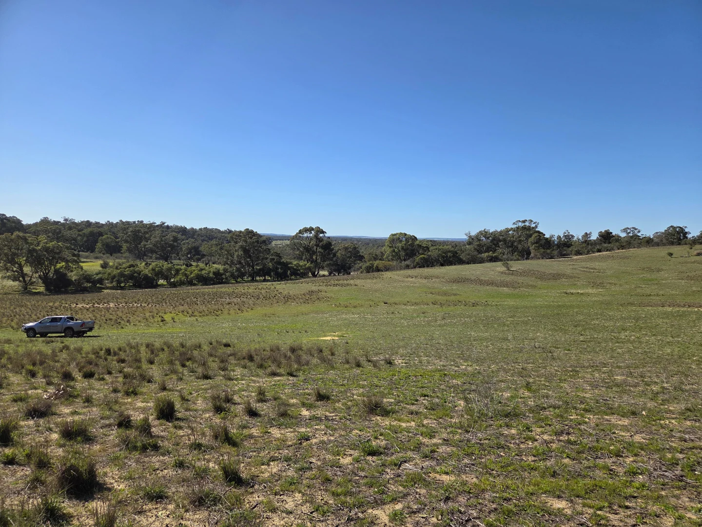 Image 10