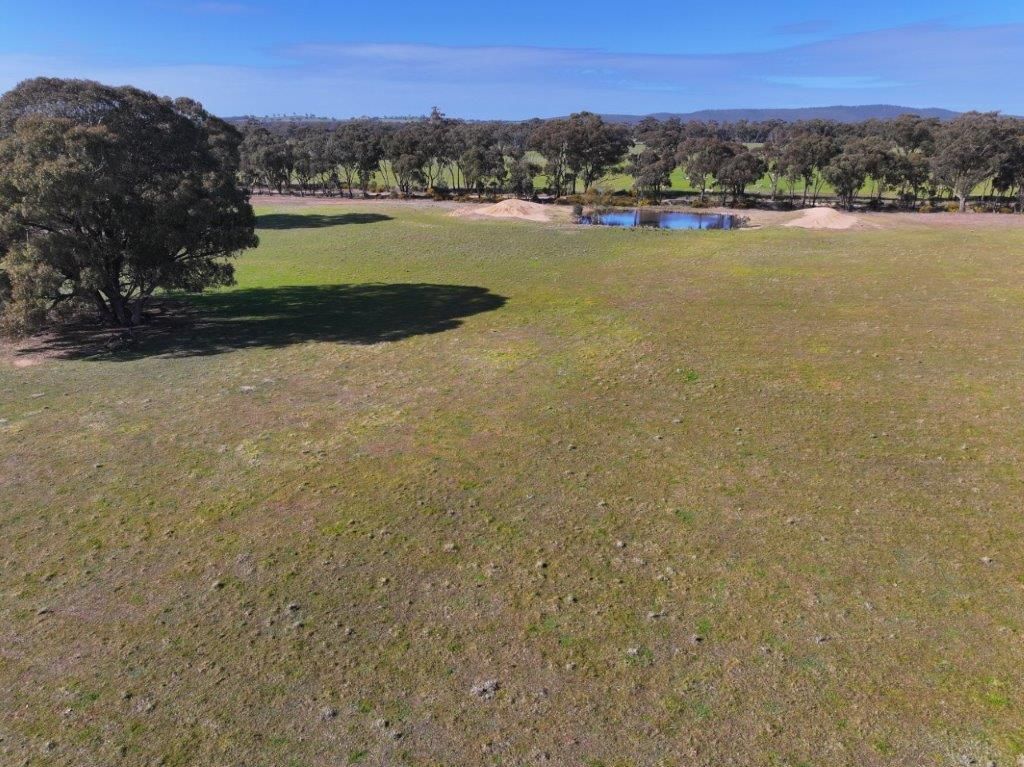 Brenanah-Kurting Road, Kurting VIC 3517, Image 2