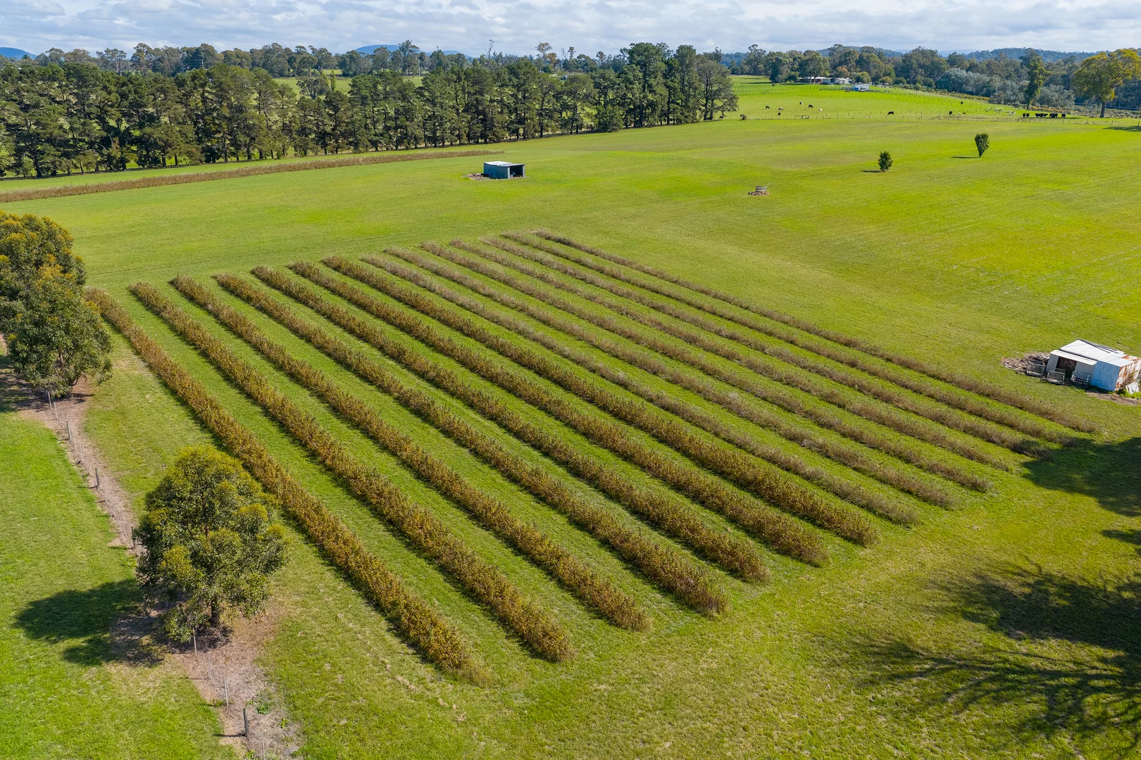 Additional image 4 of 185 McNamaras Road, Sarsfield VIC 3875