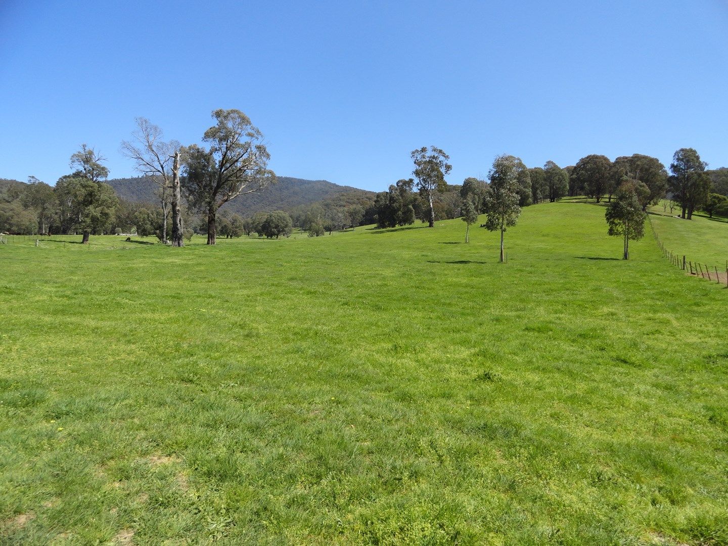 Lot 1 Bunroy Road, Biggara VIC 3707, Image 0