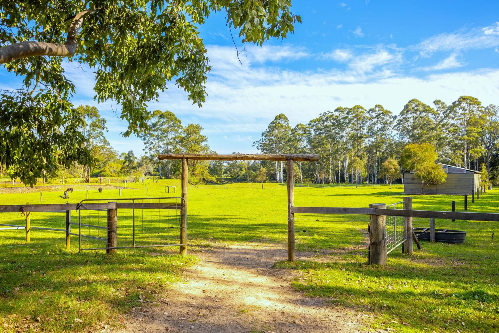 Additional image 26 of 84 Kings Creek Road, Krambach NSW 2429