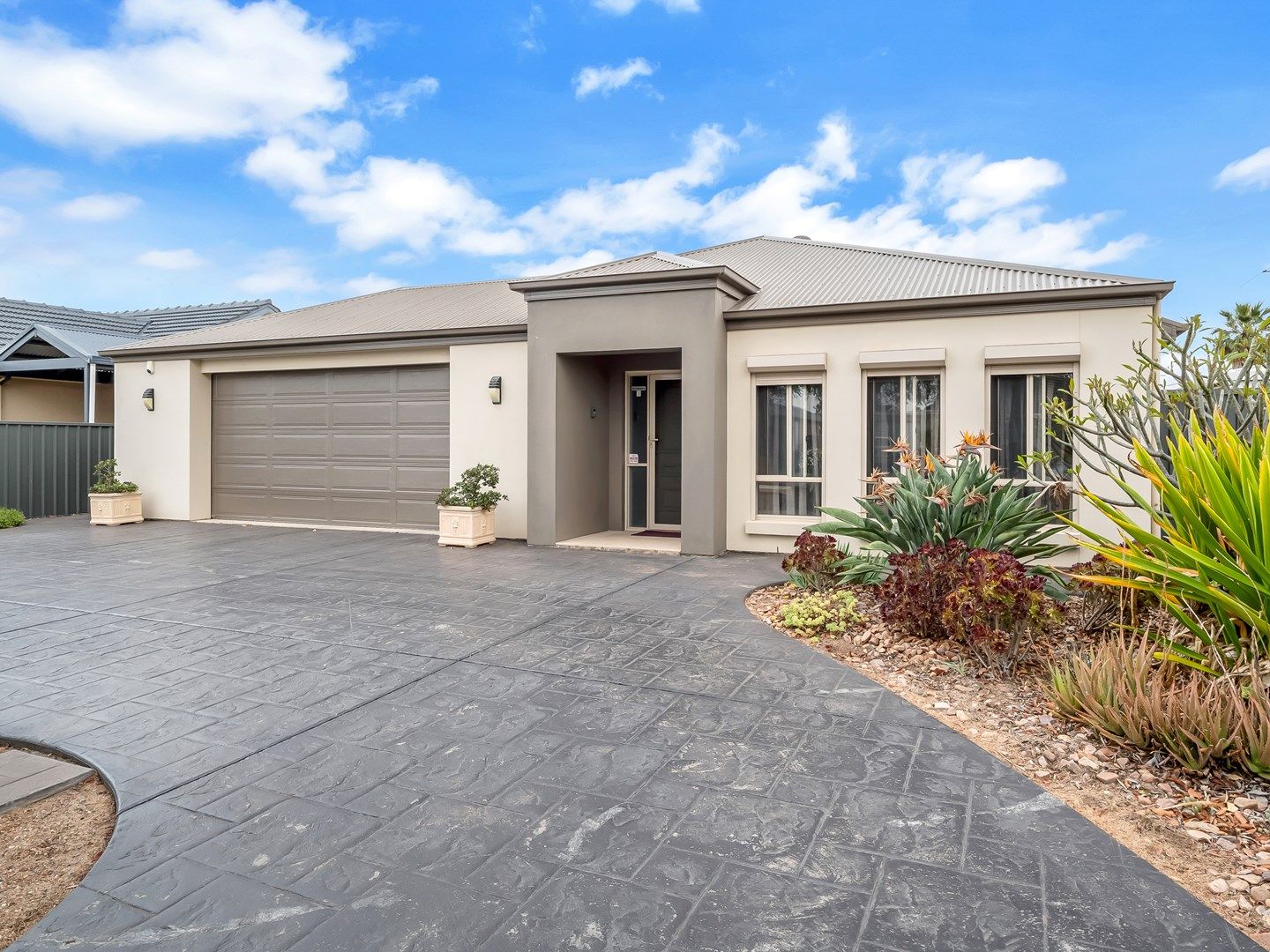 51 Patricia Avenue, Camden Park SA 5038, Image 0