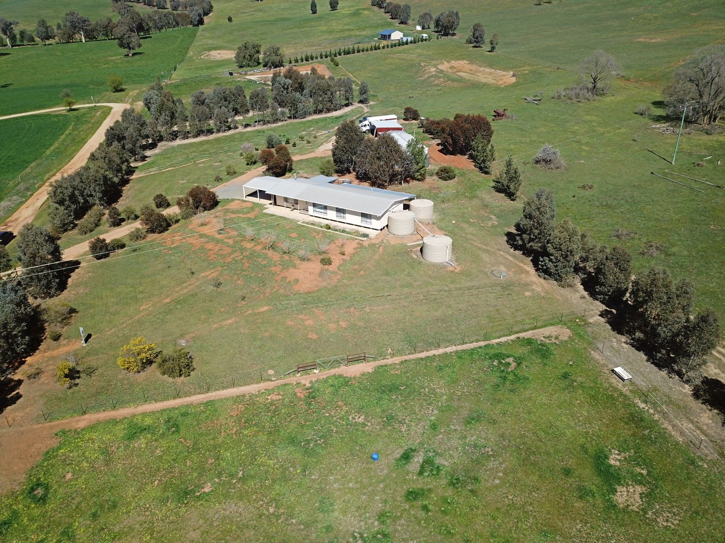 47 Sylvias Gap Road, Gundagai NSW 2722, Image 2