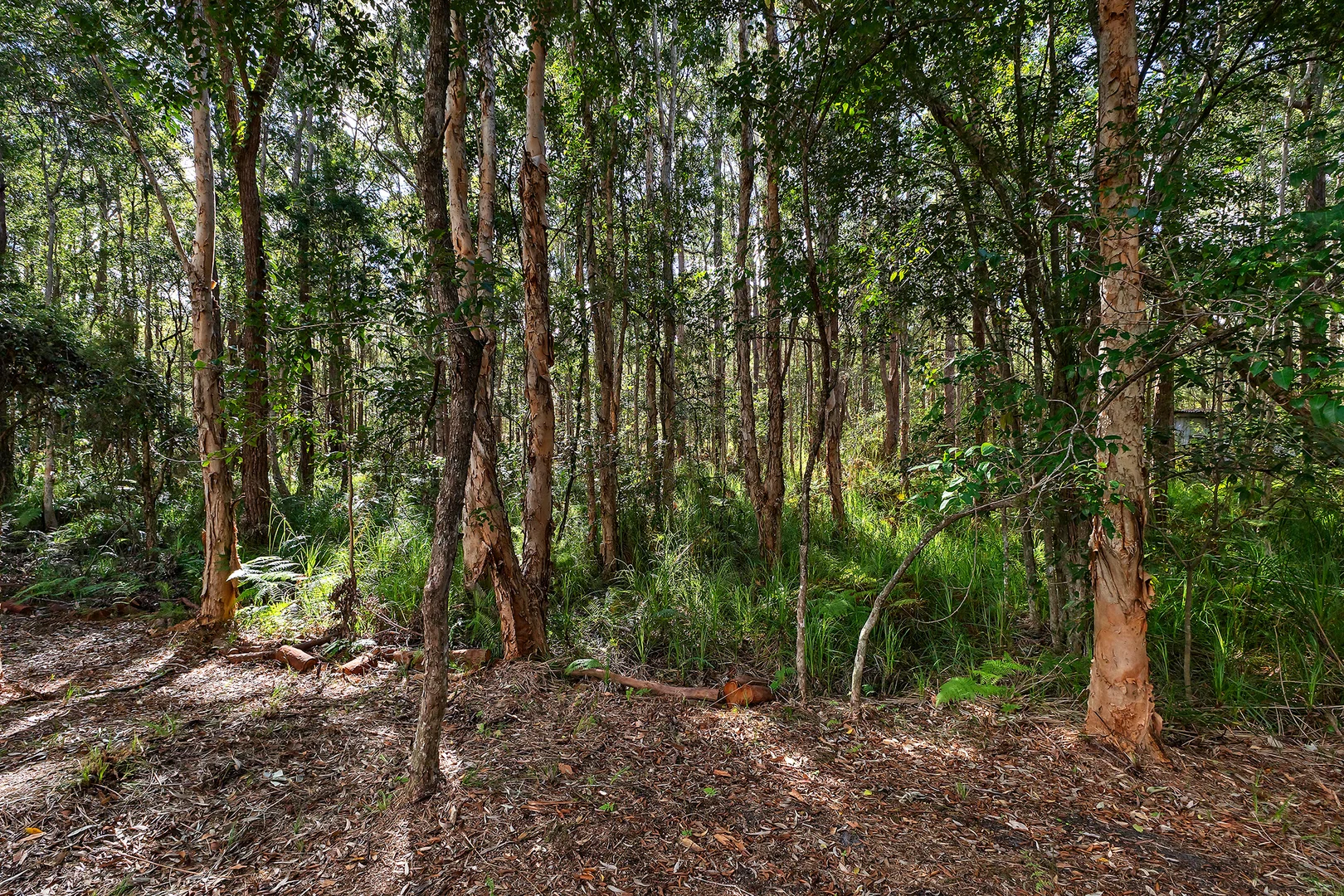 Image 12