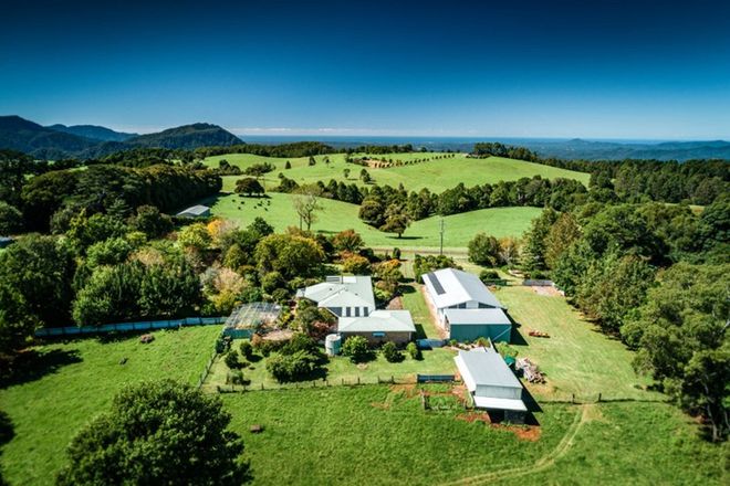 Picture of 194 Mountain Top Road, DORRIGO NSW 2453