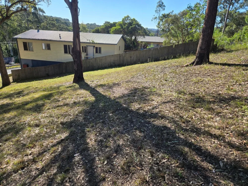 Image 6