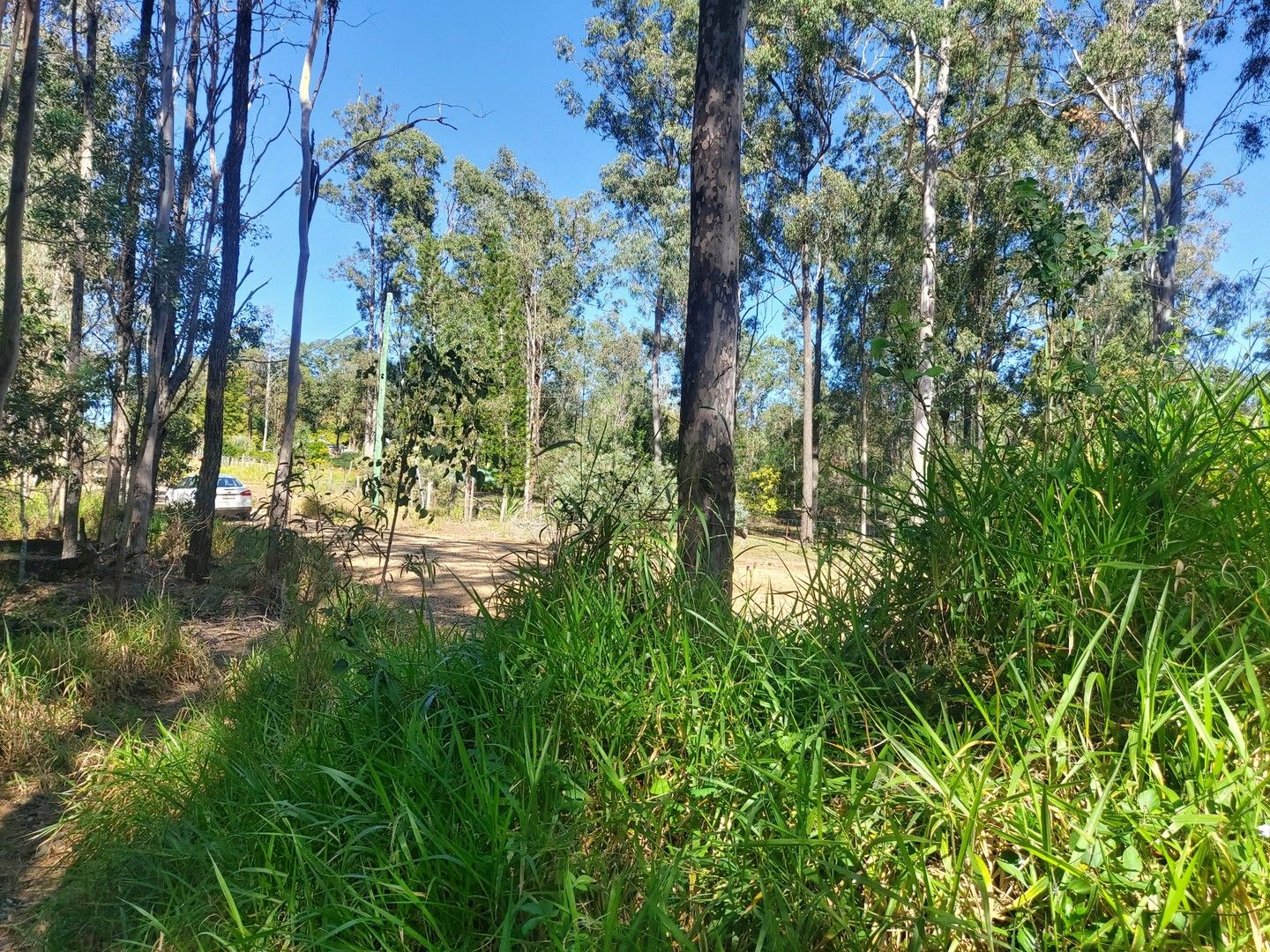 New land in Lot 726 Arbortwentyeight Road, GLENWOOD QLD, 4570