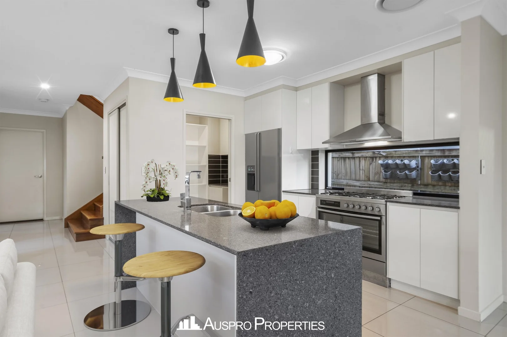 Additional image 4 of 46 Kenneth Street, Coorparoo QLD 4151