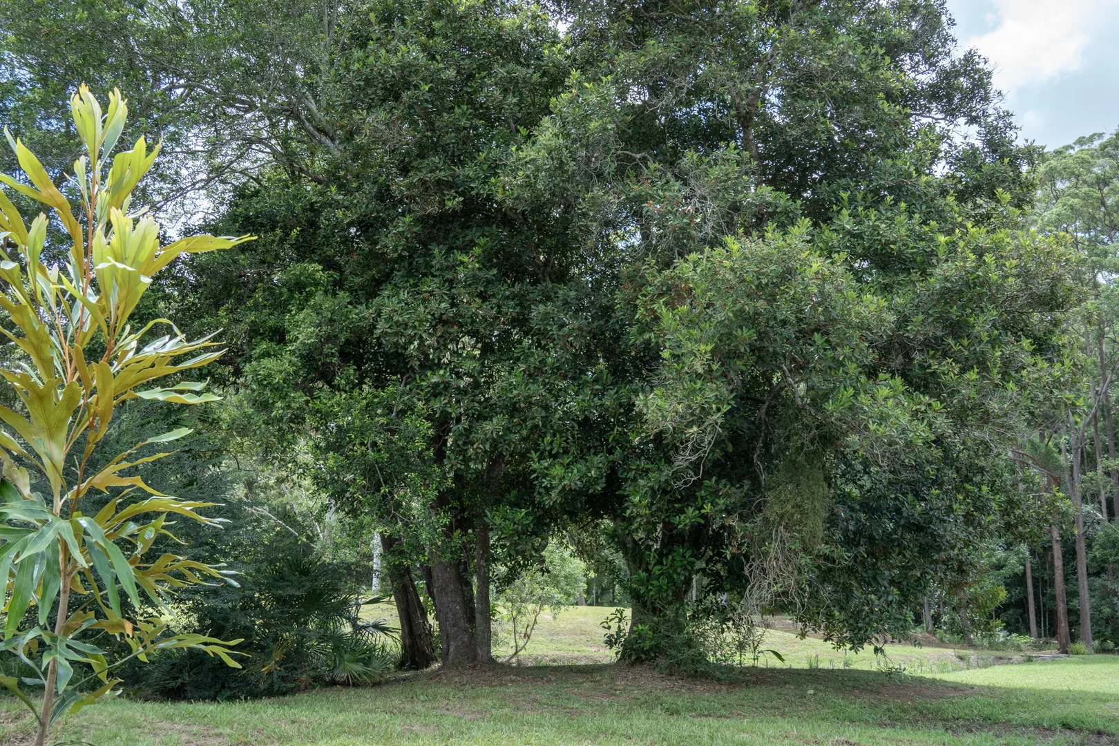Image 11