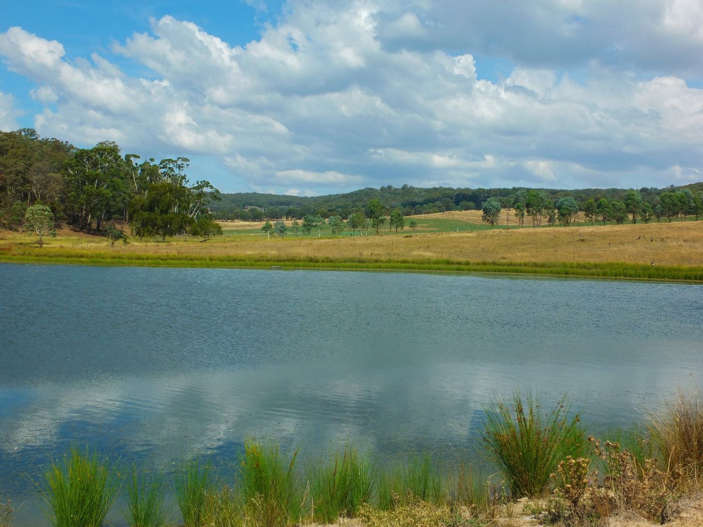 Gowan NSW 2795, Image 2