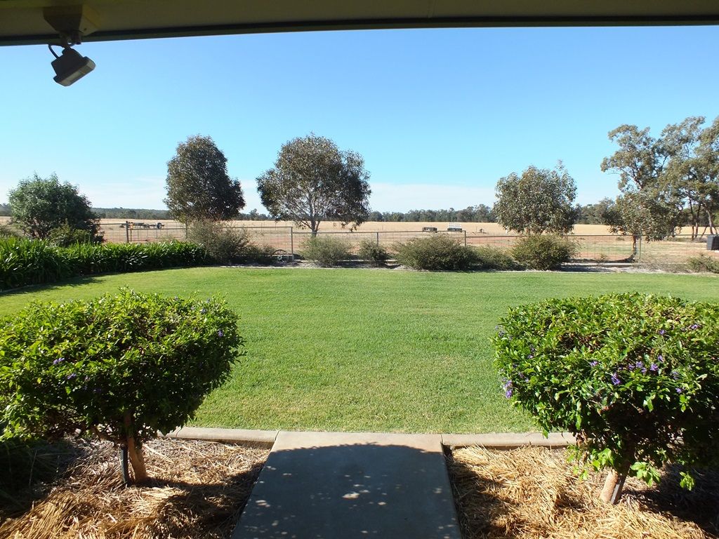 3147 Merrengreen Road, West Wyalong NSW 2671, Image 1