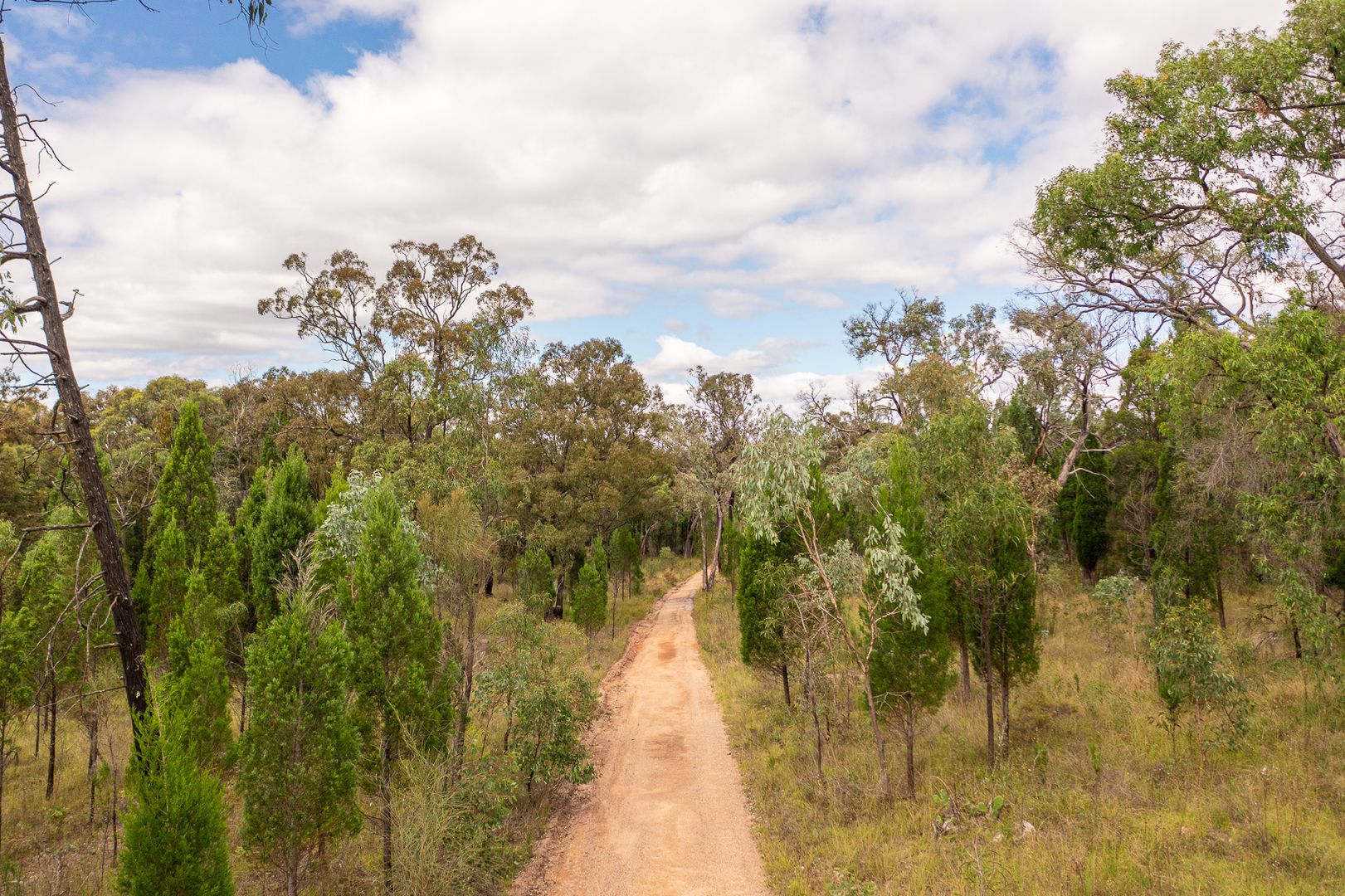 1713 Cope Road, Gulgong NSW 2852, Image 1