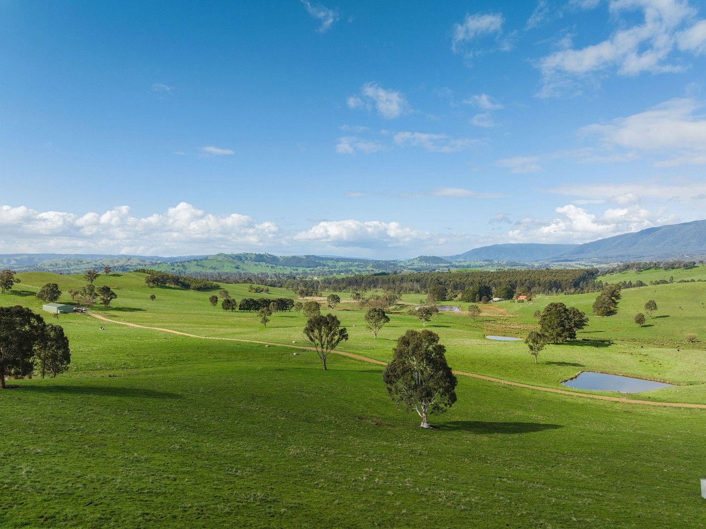 101 Yellow Creek Road, Taggerty VIC 3714 House for Sale Domain