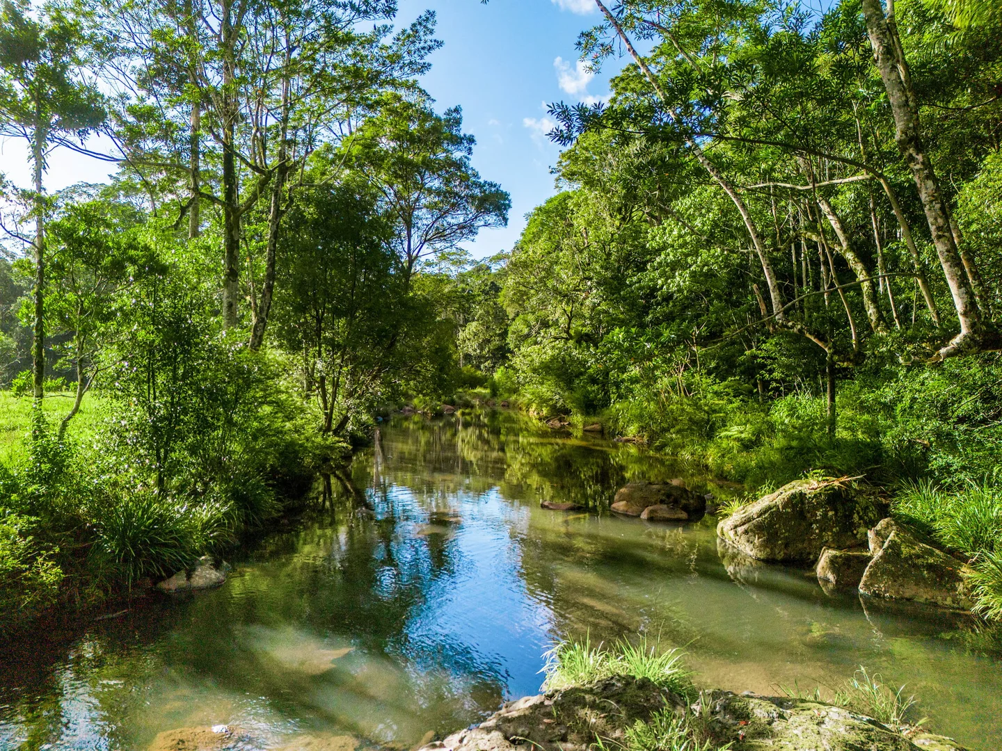 Additional image 20 of 1028 Wilsons Creek Road, Wilsons Creek NSW 2482