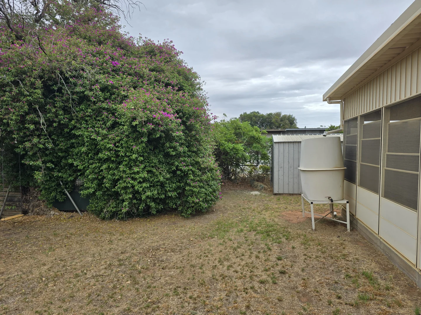 Additional image 5 of 101 ORANGE STREET, Condobolin NSW 2877
