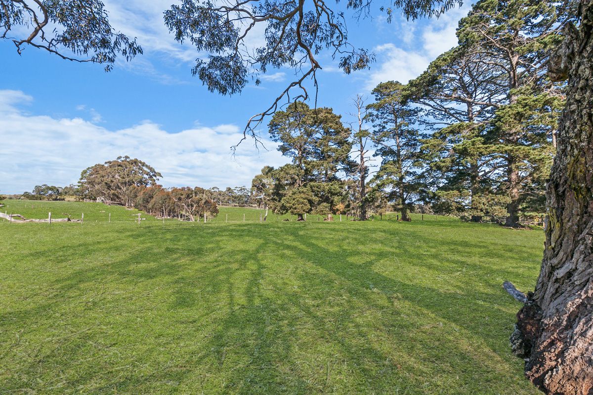 7943 Hamilton Highway, Tarrington VIC 3301, Image 2