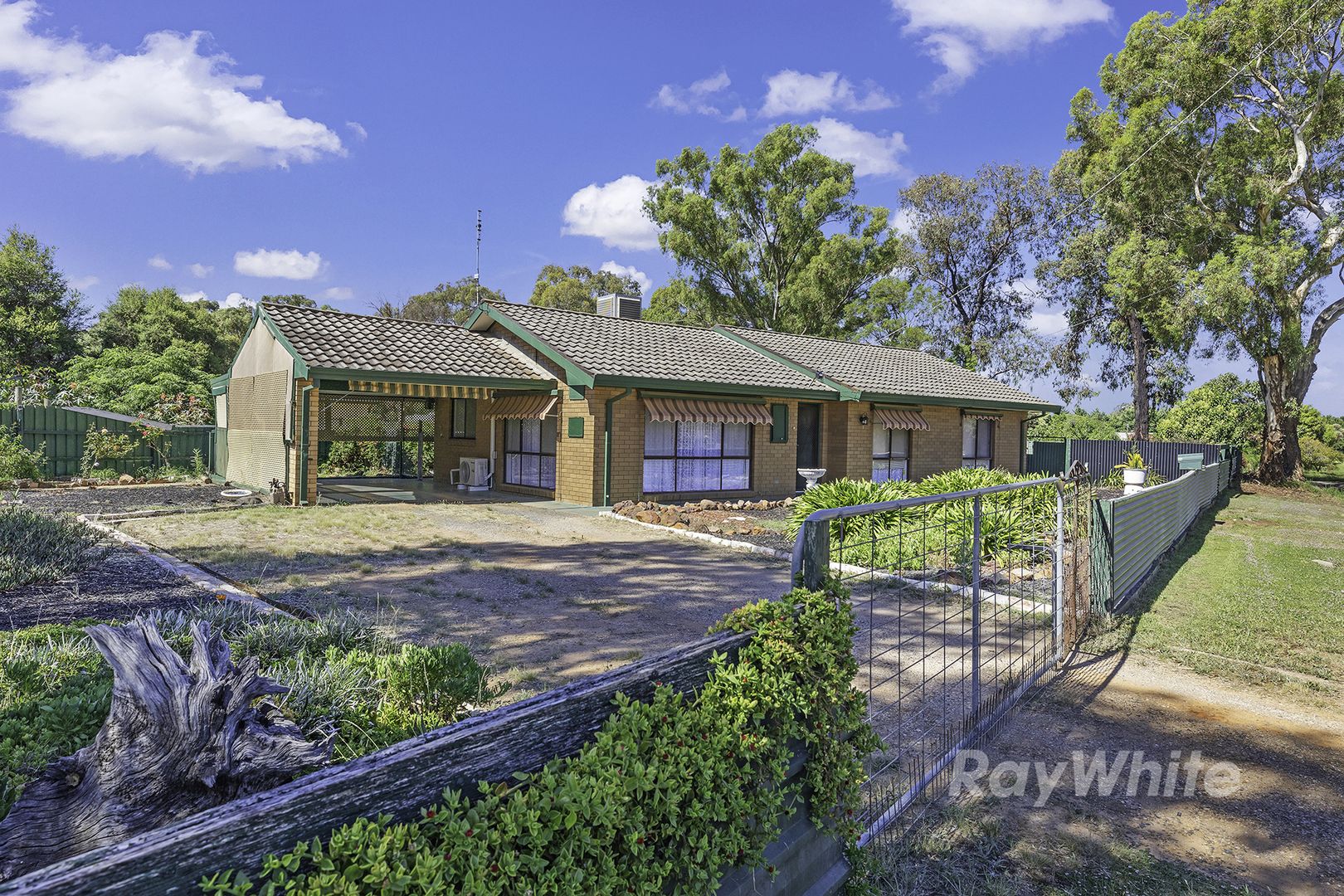 12 Gray Street, Rochester VIC 3561, Image 1