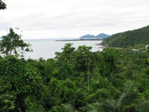 Plantation Drive, Bingil Bay QLD 4852, Image 2