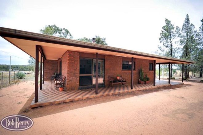 Picture of 52L Beni Forest Rd, WONGARBON NSW 2831