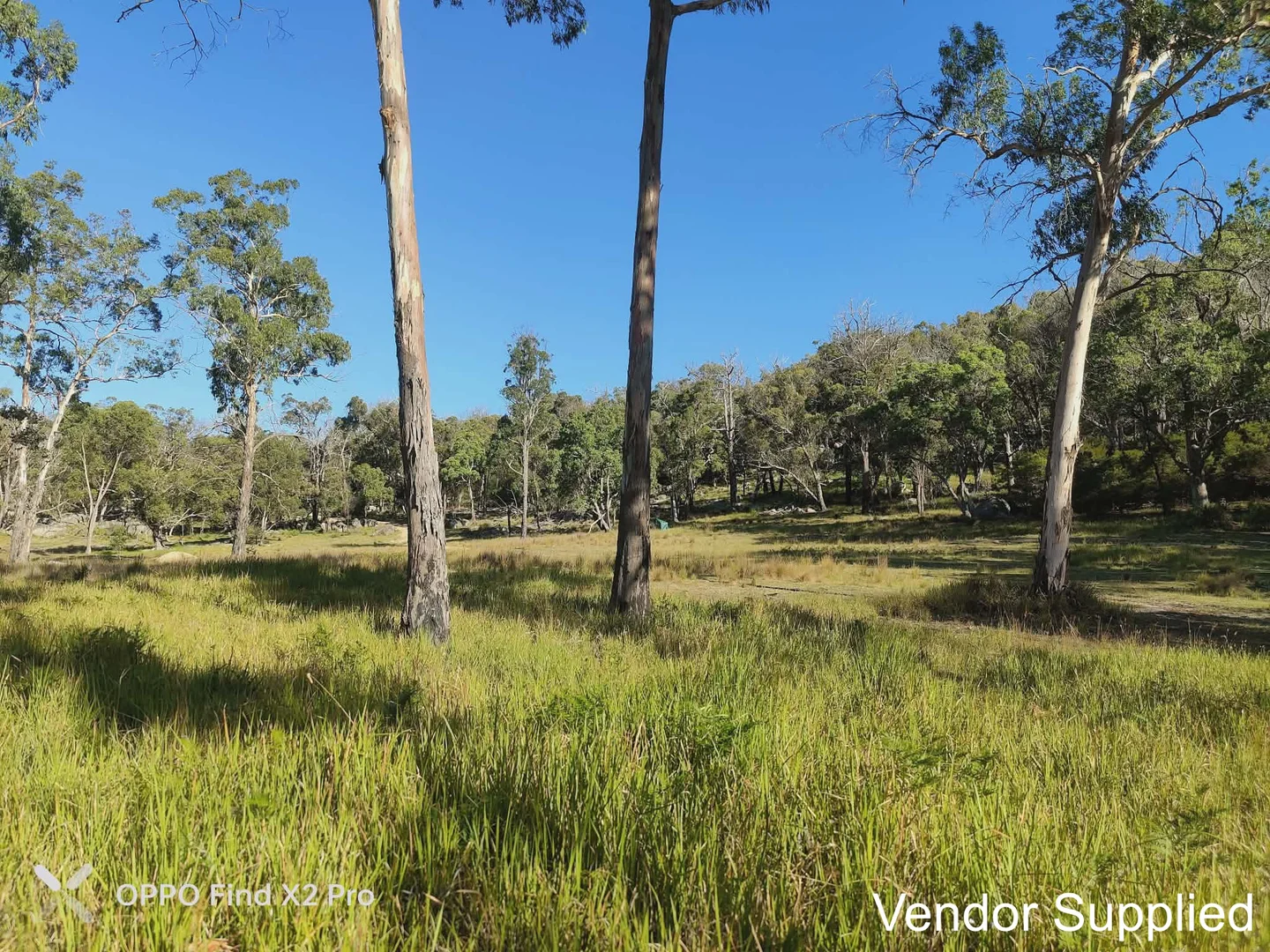 Additional image 23 of 1224 Mount Mckenzie Road, Tenterfield NSW 2372