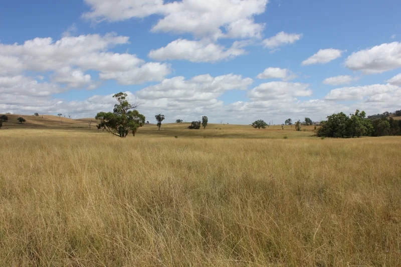 Additional image 13 of 'Fernlee' 557 Pindari Dam Rd, Ashford NSW 2361