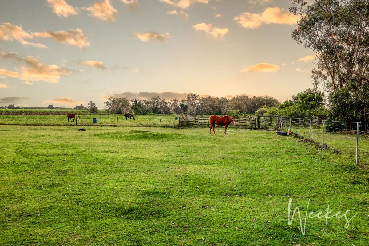 Additional image 3 of 42 Kleins Road, Woongarra QLD 4670