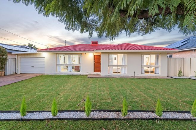 Picture of 25 Wellington Avenue, PARAFIELD GARDENS SA 5107