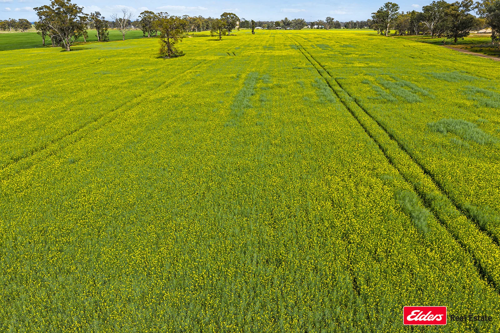 Additional image 7 of 223 Morans Road, Bribbaree NSW 2594