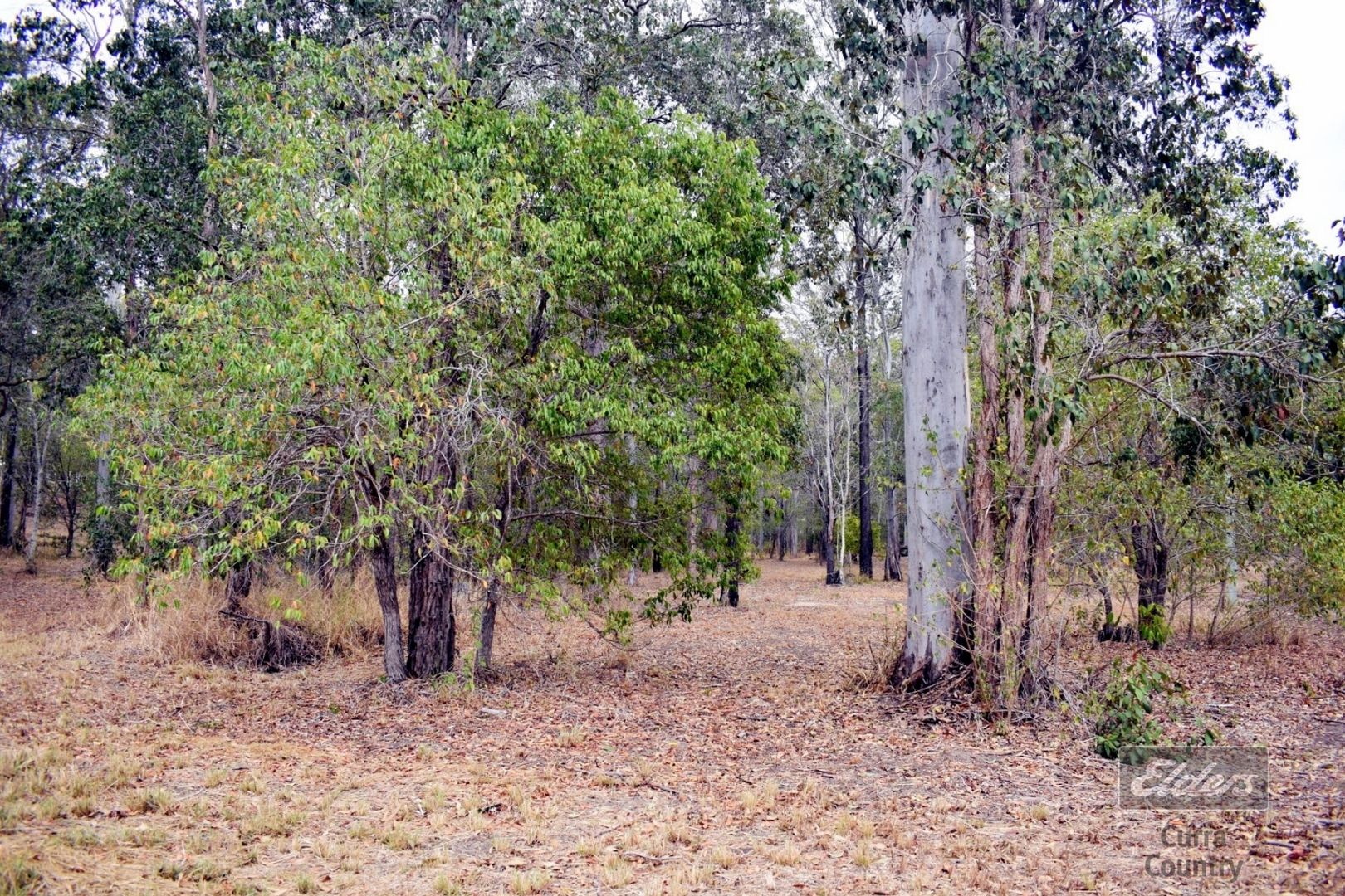 Lot 20 Martyn Road, Bauple QLD 4650, Image 1