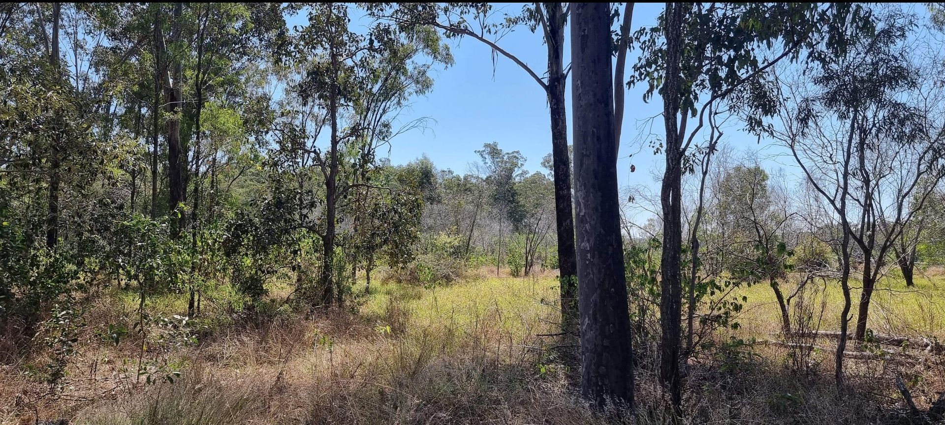 Lot 71 Duingal Road, Duingal QLD 4671, Image 2